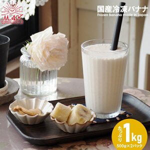 冷凍バナナ 1kg 国産 ばななのよろこび 田原産 お中元 残暑見舞い ブランド ギフト マーコ