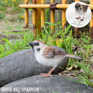 o[fBr  XY  CeA u SPARROW `Y  }Olbg magnet