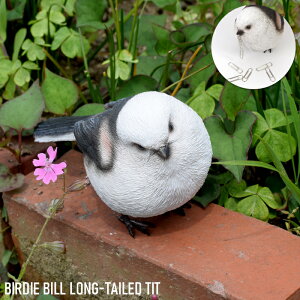 o[fBr V}GiK  CeA u LONG-TAILED TIT  }Olbg magnet