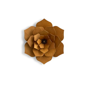 lovi fRt[  k CeA H bZ[WJ[h B tBh