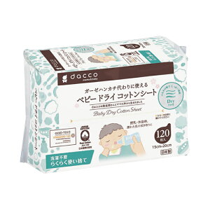 xr[hCRbgV[g 120 IITLfBJ