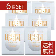 ハードレンズ用装着液 東レ 眼潤 (12ml)×6個　コンタクトケア　6本セット