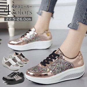 Xj[J[ fB[X [Jbg JWA r Ȃ ʋ ʊw r  Xb| AEghA WMO St L gUP