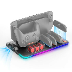 TRANSNOVO Switch 2�ɓK��Pro & �W���C�R���p�̗�p�[�d�� �r�M�t�@������ �������R���g���[���[4��+Pro��p�t�@���h�b�N