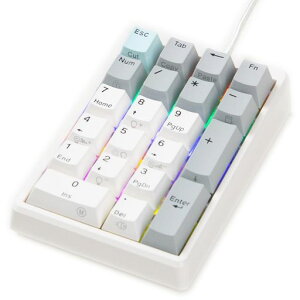 NiZ�e���L�[EC21-1M�y�o�b�N���C�g�t���z21�L�[�L�������L�[�{�[�hCherryMX����p�\�t�g�E�F�A�t���L�[�{�[�h�J�X�^�}�C�Y�\�I�t�B�X/�v���O�������[�h�Ód�e�ʖ��ړ_�����É��L�[�׏d35g�c