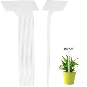 Lurrose|xAx|px35T^vX`bNfޑϋvyʖ~̓^OAp^Oݐ@ėp\}₷Ԍ|p