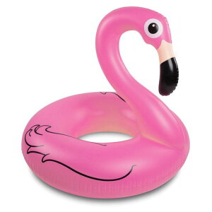 łԂt[gt~Sփv[t[gCGY66