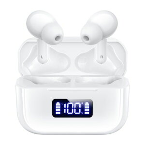 y2024NfbluetoothCzzCXCzBluetooth5.3Zpő48ԉyĐHi-FiAAC/SBCɑΉmCYLZOLEDfBXvCdrcʕ\yAOnYt[ʁc