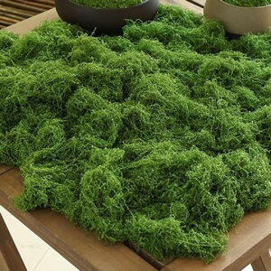 siawadekytFCNXlHO[A200gʑۃtFCNO[ϋv͂ȂH|iكpeBIꃂfz͌^뉀AƎODIYfp