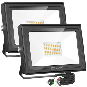 CLY60WdFOEH[CgփCghƃCgƓWԏꓔŔȃGlPx3000K6000LMIP66hḦّqɃiC^[Ǌ|뉀x_LOVƖp