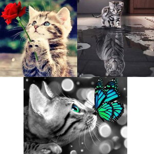 3_ChA[gLbgBetterJonny5D_ChLbgA[g_ChyCe_ChhLG|LbgSʓ\t^CvDIY|LbgSґlq3c