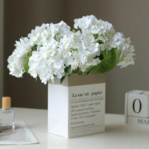 siawadekyԎzԃAWTC4{ZbgVNt[ԍތ͂ȂԖ{lHt[jԑ}eBbNA[gt[̓?aMtgEFfBOCc