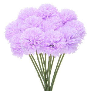 MMETERXITY12pbNlHLN{[11htFCNAWTCVNu[PA^b`tFCNt[ƒ//NX}X/p[eB[/K[fItBXp[Cgp[v]