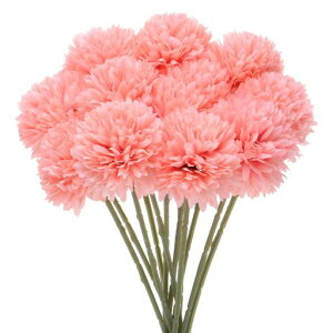 MMETERXITY12lHLN{[11htFCNAWTCVNu[PA^b`tFCNt[ƒ//NX}X/p[eB[/K[fItBXp[s[`sN]