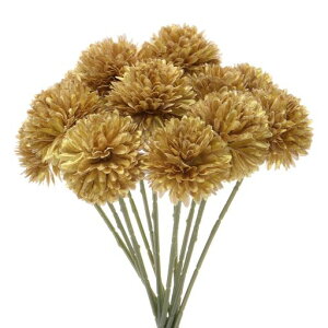 MMETERXITY12pbNlHLN{[11htFCNAWTCVNu[PA^b`tFCNt[ƒ//NX}X/p[eB[/K[fItBXp[F]