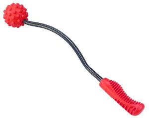 xmpbNX̔}bT[WObYʉhh1{