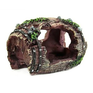 DFsuccesANAEpIuWFMBƐI[igANAÊDIY͋CSϋv