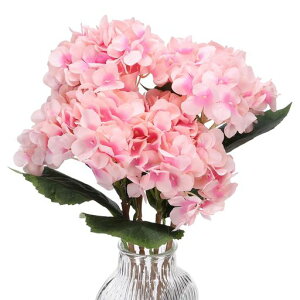 PATIKILAWTC3tFCNAWTCt[lHAWTCԕrtFCNVNtFCNt[A^b`z[fR[VZ^[s[Xe[ufR[VCgc