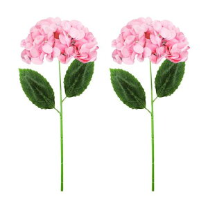 seimeinokizԃsNAWTCԌ͂ȂԃCeA蒷45cmVNt[tFCNt[{A[gt[CeAʐ^