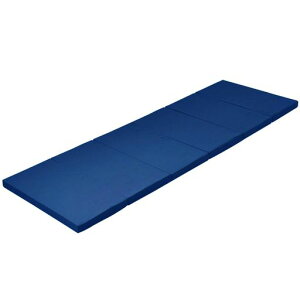 [ALX]}bgX܂肽ݍdߍdx(265N)ɃX[Z~VO(60x180cm)RۏL4cmԒЊQQ6܂RpNglCr[MK6-SSSNV