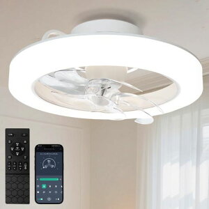 SUKITEN�V�[�����O�t�@�����C�gLED��50cm3500LM���t��]��U��@�\�t�@���t���Ɩ��T�[�L�����[�^�[DC���[�^�[�É��ȃG�l���i�K�������F6�i�K���ʃ������[/�^�C�}�[�@�\APP����2.4G�����R���t���c