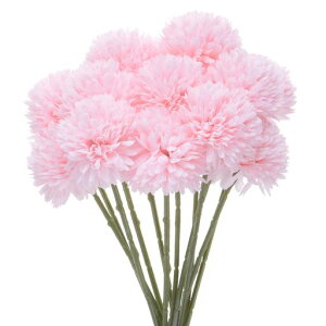 MMETERXITY12lHLN{[11htFCNAWTCVNu[PA^b`tFCNt[ƒ//NX}X/p[eB[/K[fItBXp[CgsN]