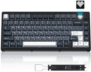 �Q�[�~���O�L�[�{�[�h Womier MT75 �L�[�{�[�h ���� 75%���C�A�E�g �e���L�[���X �z�b�g�X���b�v�Ή� �K�X�P�b�g�\�� Bluetooth 5.0/2.4G/�L���ڑ� RGB�o�b�N���C�g 8000mAh�o�b�e���[ �m�u&�f�B�X�v�c
