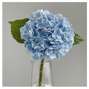 AWTC2{茦Ԃ͂ȂԐsvlHϗtAA[g[e[uZ^[s[XVvƂ̑CeAMtgpt[AWc