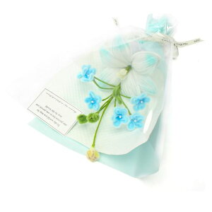 LOZIZIiꃋttԑꃋƎa̓v[glCԂjԃt[Mtg(blue)