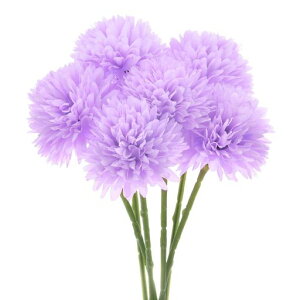 MMETERXITY6pbNlHLN{[11htFCNAWTCVNu[PA^b`tFCNt[ƒ//NX}X/p[eB[/K[fItBXp[Cgp[v]