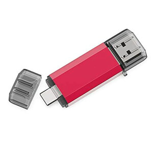 RAOYI TypeC USB������ 128GB USB3.0 �^�C�vC�t���b�V���h���C�u 2in1 �����f���A���t���b�V���f�B�X�N(TypeC+USB3.0)OTG �L���b�v�� (��)