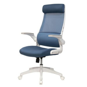 Cg[LT_CM`FAu[ItBX`FAyGNXgnCobN/ւ̕Syo[T|[g/ʋCEbVf/E^/wbhXg/w̃bLO/3c