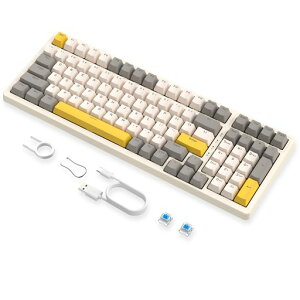 ZIYOULANGK3MAX���J�j�J���Q�[�~���O�L�[�{�[�h�z�b�g�X���b�v�Ή��L��96%100�L�[���W��ANSI�z��USB�ڑ�19�̃J�X�^���o�b�N���C�g���[�hDIY�L�[�{�[�h�h���S�L�[�R���t���N�g�t���[�y�ʂ���c