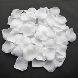 Ԃт3000Zbgt[V[KNỏԂт烍[Yԃv|[Y茋EGfBO2ajNX}Xp[eB[pBeolC(zCg)