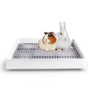 bgpgClp`bVXmRt``pgC|piꃉNNg[gCg[jOɍœKLXTCY38.3cmX30.9cmX6.5cm