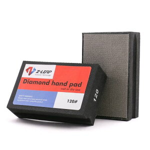 Z-LEAP_Chnh|bVpbhe120eΑ嗝΃RN[gKXTfBOubNp