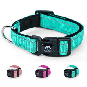 NESTROAD֒߉\Ԕˏ^E^E^pSΉꃁbVʋCSPpbV\tgɂȂȒPv(O[XS)