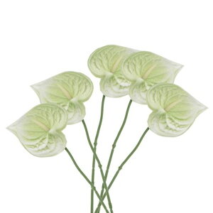 PATIKIL33cm�l�H�I�ȃA���X���E�������t�����[5�p�[�}�l���g�t�����[�t�����[�A�����W�����g�ԑ��Ƃ̑����u���C�_���������t�F�X�e�B�o���p�[�e�B�[�p���C�g�O���[��