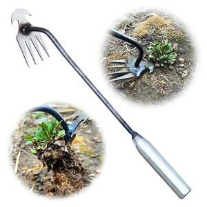 Gc[Gc[菜c[nhGc[}K|c[nh@蓮@蓮c[GL|H/Ő/_/A//c