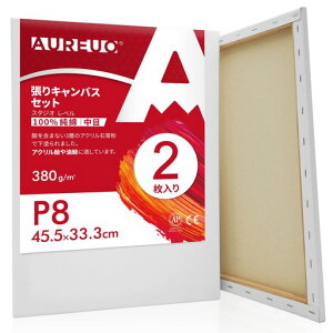 AUREUOLoXZbgP8(45.5cmX33.3cm)100%Rbg2SҊGp|pGn쌻GpʉEGEANp