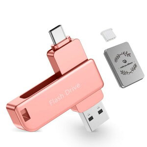 �y�^�C�vc�̂��߂�usb�������zUSB������256GBType-C&USBA�Ή������f�[�^�]���X�}�z�EPC���p�ʐ^����o�b�N�A�b�v�ۑ��t���b�V���h���C�u�R���p�N�g�Ŏ����^�ѕ֗�