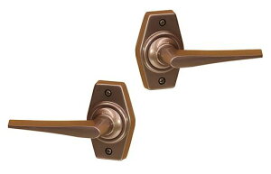 Z(Kawaguchigiken)z[o[uEFDF-1