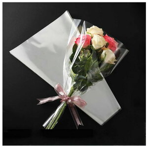 Ԏt[bsOy[p[100Zbg{tԎt[bsOobOԑbsOܐ؂ԕhjɂu[P|DIYao^Cf[c