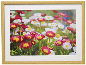 FUJICOLORؐzM20A4ؒn407833