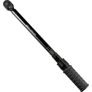 SK11(�G�X�P�[11)�v���Z�b�g�^�g���N�����`�����p12.7mm20~140N�EmSTR4-140���E����]�Ή��{���g�i�b�g�̒��ߕt���P�[�X�t��