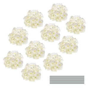 DMiotech30ZbgzCgVNlHAWTCwbh̑ԃAWTCst̉ԕrԕǃMtgp