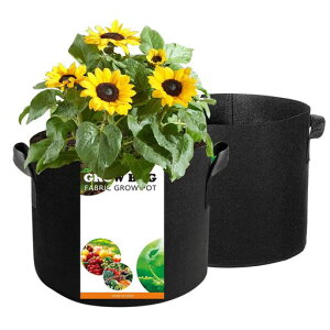 �s�D�z �v�����^�[ joyoyoo �A�ؔ� �R���e�i �|�{ ��c �A���� �K�[�f�� �ʋC�� diy ���| �A���琬 ��؍͔| (5�K���� 2��(��30x��25cm))