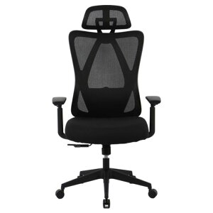 FLEXISPOT �I�t�B�X�`�F�A �f�X�N�`�F�A C5 ���@�\���� ���b�L���O�@�\ �Œ�\ ���㒲�߉\ 2D�����o�[�T�|�[�g ���b�V���f�� �������� 3D�A�[�����X�g 2D�w�b�h���X�g �ݑ�Ζ� (�E���^��,�c