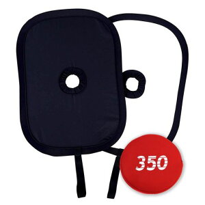 悵݃JE҃t350iBeKX̉f荞ݖh~t