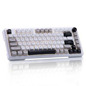 e���f�Q�[�~���O�L�[�{�[�h82�L�[�V���o�[�E�b�h���̃��J�j�J�����L�[�{�[�hBluetooth��2.4G���C�����X������USB�L����3���[�h�ڑ��⎲���̗p�A���`�S�[�X�g�L�[RGB�o�b�N���C�g�t��